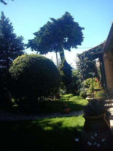 Bed & Breakfast La Carioca