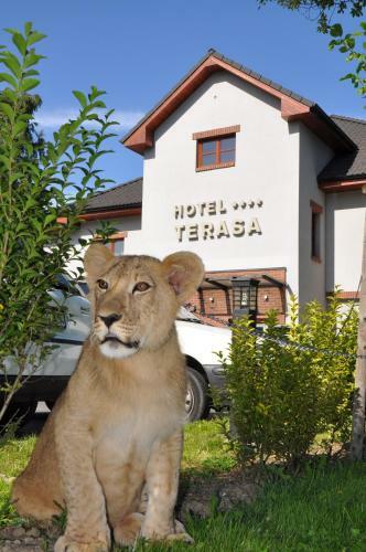 Euroagentur Hotel Terasa