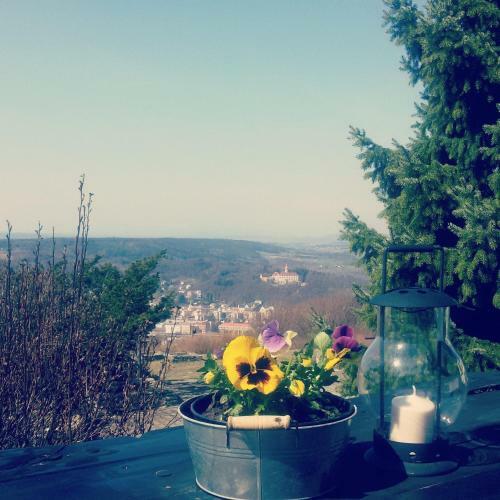 Wellness Hotel Vyhlidka