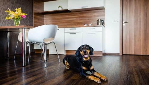 Hostal Penzion V J�zd�rn?