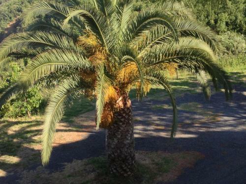 Agroturismo L'anticocasale