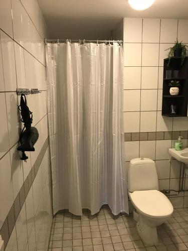Albergue Hedemora Logi