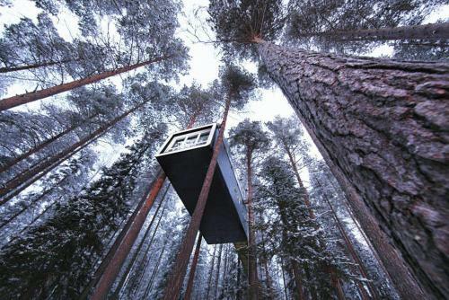 Lodge Treehotel