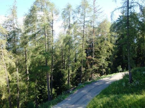Apartamentos R�sidence Les Hauts De Veysonnaz