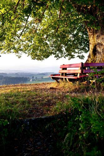 Hostal Landgasthof Lueg