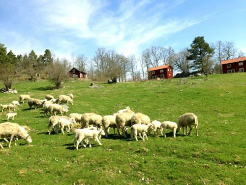 Agroturismo H�radss�tter G�rd