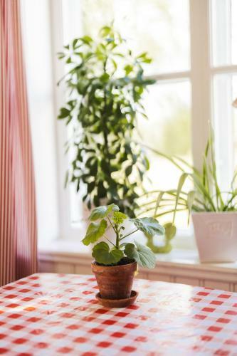 B�cks Bed & Breakfast