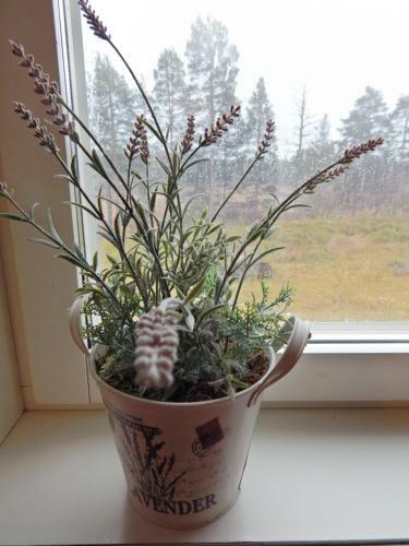 Schweden Aktiv Bed & Breakfast