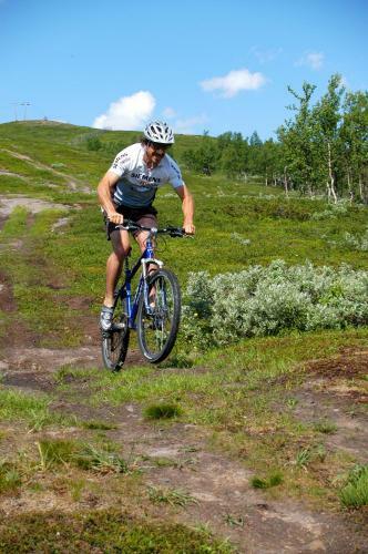 Hotel Stf Hemavans Fj�llcenter