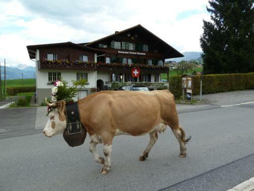 Hostal Pension Hotel Restaurant Sunnmatt