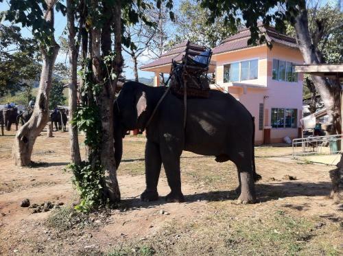 Ban Lom Jen Homestay