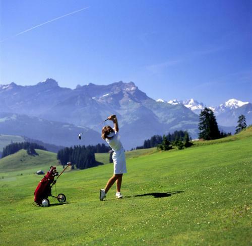 Hostal B&B Swisschalet Montana