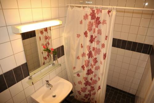 Albergue Vandrarhem Nattm�ssan