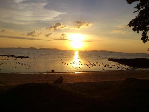 Hotel Pine Bungalow Krabi