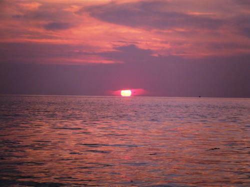 Hostal Davy Jones Locker Hotel