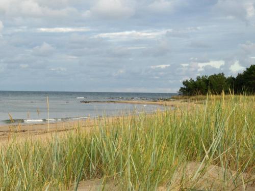 Hostal F�r�g�rden Bed & Breakfast