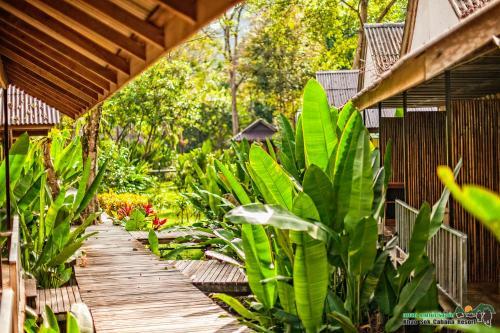 Hostal Khao Sok Cabana Resort