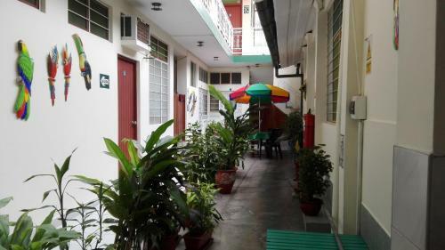 Albergue Hostal El Colibr�