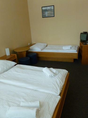 Hostal Penzion ?enk Pardubice