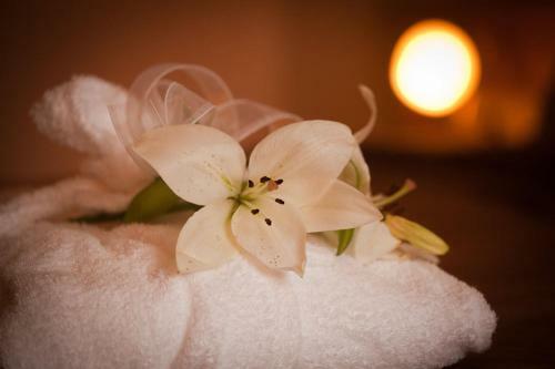 Wellness Hotel Zlat� L�pa