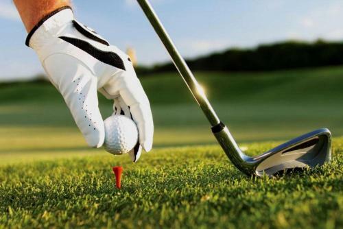 Wellness Hotel Zlat� L�pa
