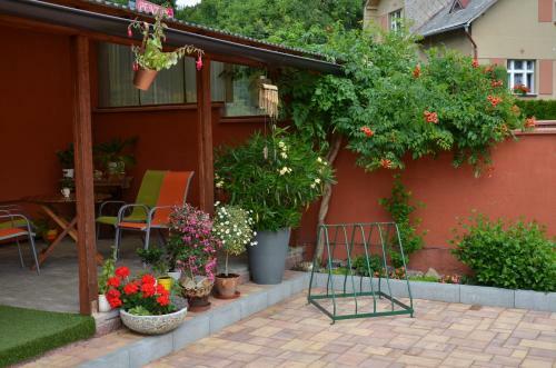 Hostal Penzion Aura