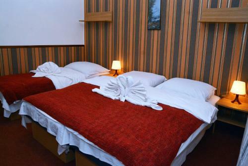 Hotel Penzion Horalka