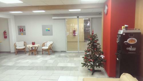 Hotel Terek