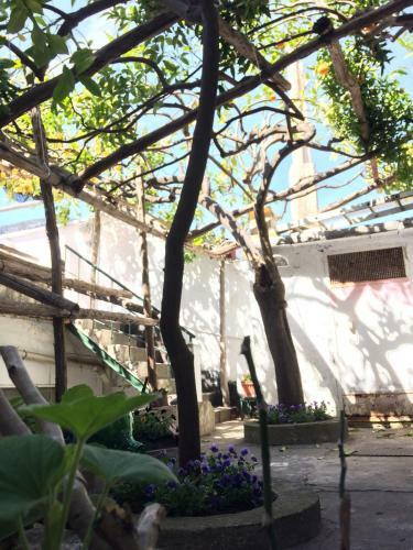 Bed & Breakfast Donna Giulia