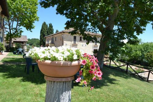 Agroturismo Tenuta Pizzogallo