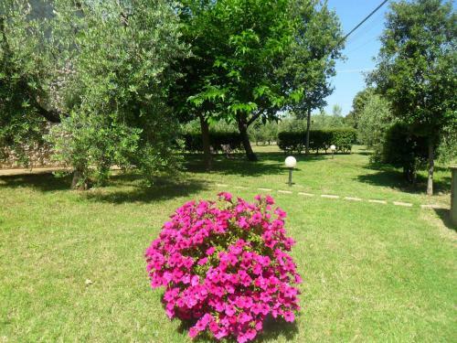 Apartamento Casale Santa Caterina