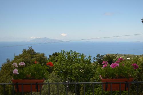 Alle Ginestre Capri B&B
