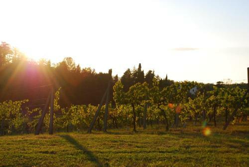 Agroturismo Agriturismo Il Sasso