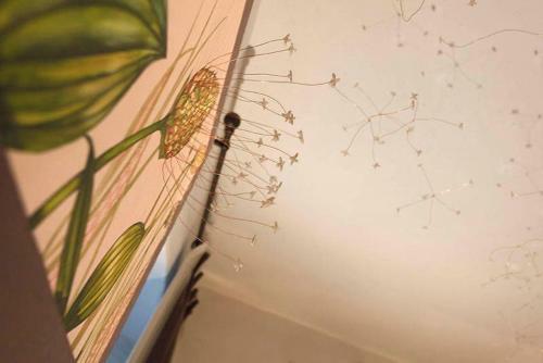 Bed & Breakfast Maison Bondaz & Spa Priv�