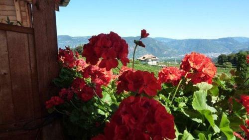 Hostal Haus Romen