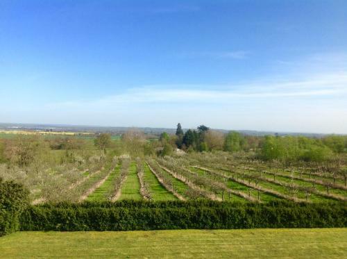 Bed & Breakfast Shakespeare's View