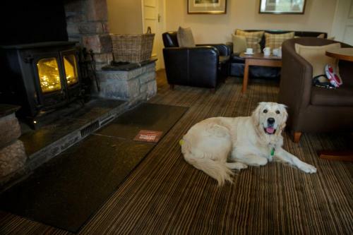 The Murray Park Hotel