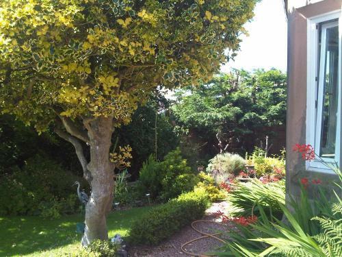 Hostal James Cottage Guest House