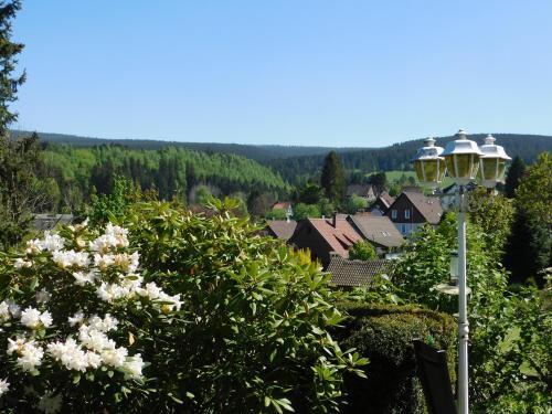 Bed & Breakfast Pension Haus Petra