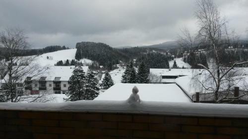 Apartamento Ferienwohnung Harz