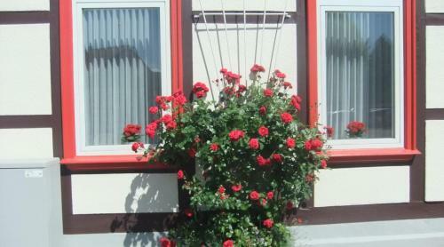 Hostal Hotel Kniep