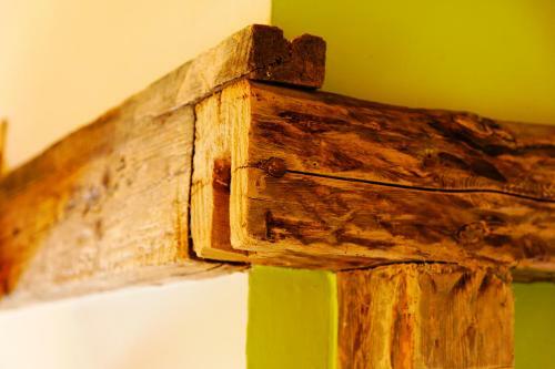 Apartamento Vogelhaus Gobbin