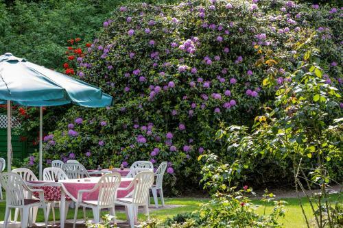 Hostal Gasthof Bathmann