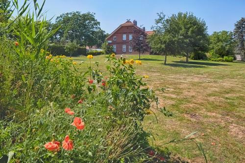 Hostal Elbhof Harnisch