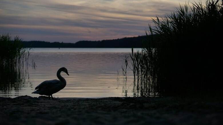 Ferienpark-canow