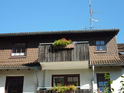 Apartamentos Residenz Sachsensteinblick
