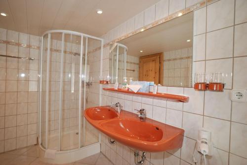 Hotel Brauner Hirsch