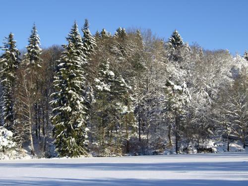 Hostal Pension Volkert