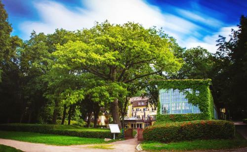Hotel Kurhaus Am Inselsee
