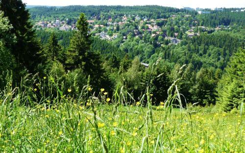 Apartamentos Ferienwohnungen Haus Am Karpfenteich